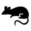 POCHOIR TATOUAGE RAT